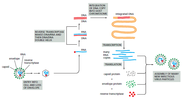 Figure 5-62.png
